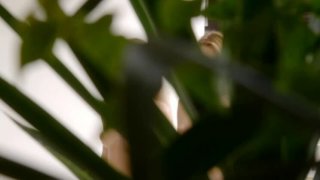 粗大与亲女伦交换H沙法爆操骚逼说超变态!!! 刚刚更新